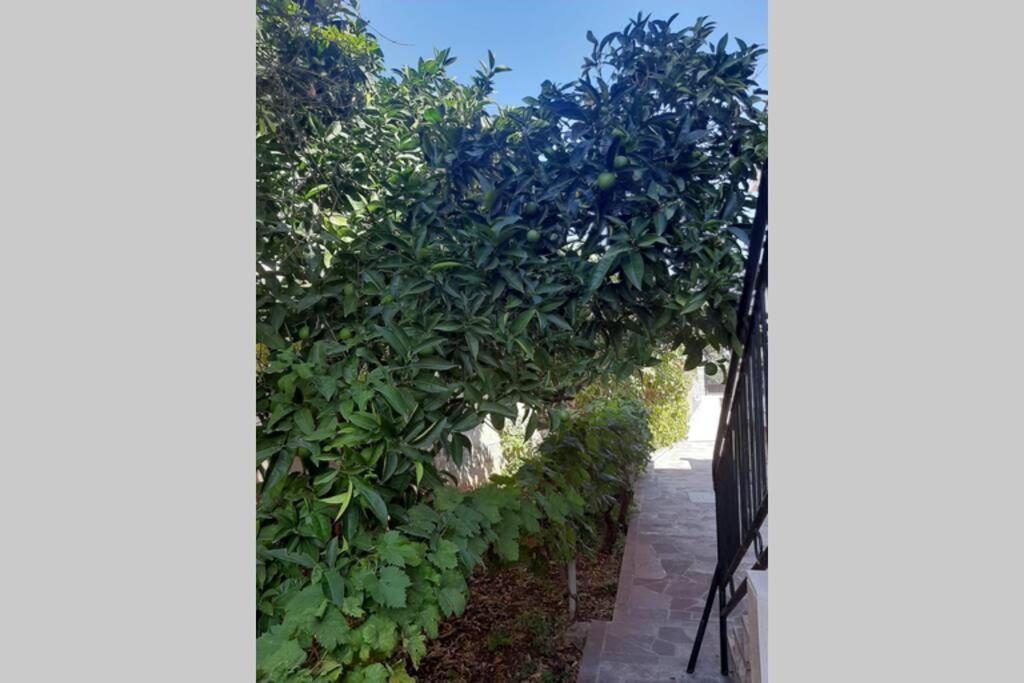 Giovanna - Spacious Lovely Apartment Supetar Exterior photo